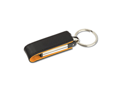Roma Usb Drive