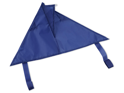 DELTA DANCER KITE