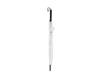 TRANSPARENT UMBRELLA