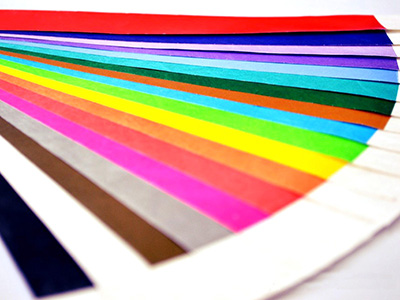 Tyvek Wristband