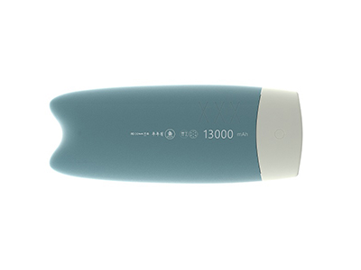 Fish Powerbank 