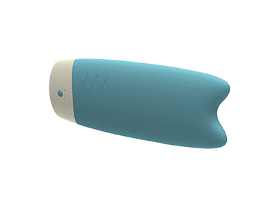 Fish Powerbank 