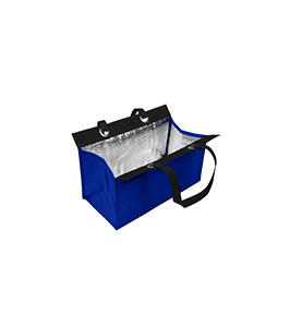 Fashion Cooler Lunch Tote