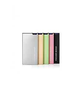 Power Bank P110