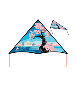 DELTA KITE 2