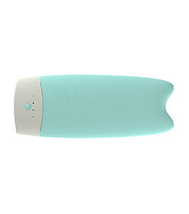 Fish Powerbank 