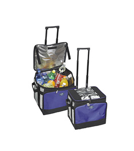 Cooler Bag 